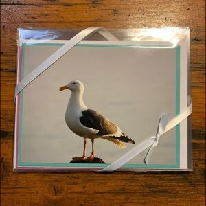 5 assorted photo gift cards with envelopes